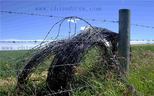 带刺铁丝网厂家