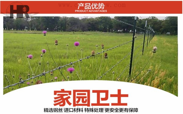 刺绳安装